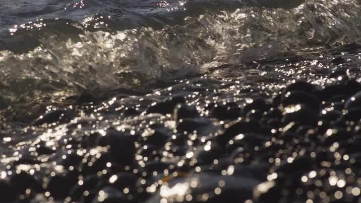 [Image: zvc4dlj366xh.jpg]