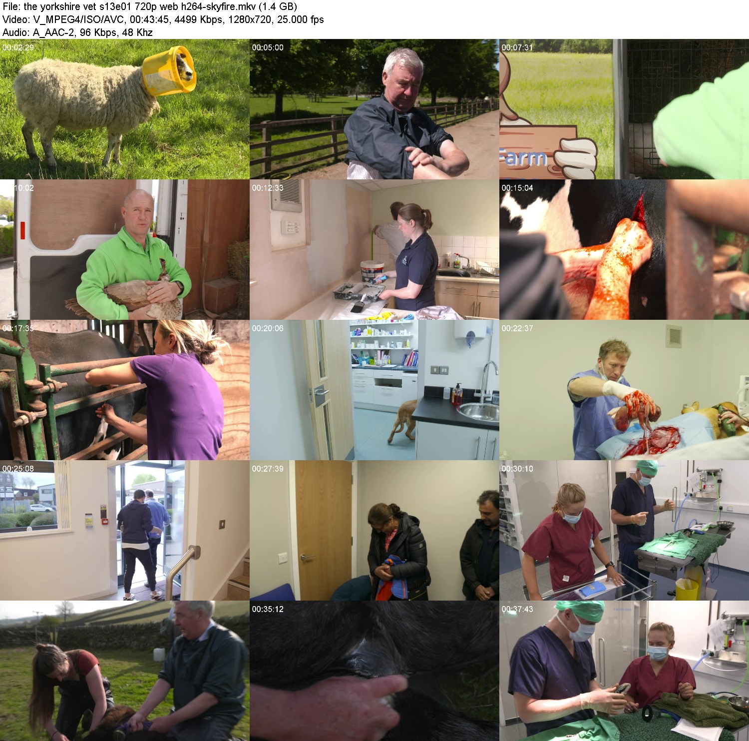 [Image: fbdhno4082pr.jpg]