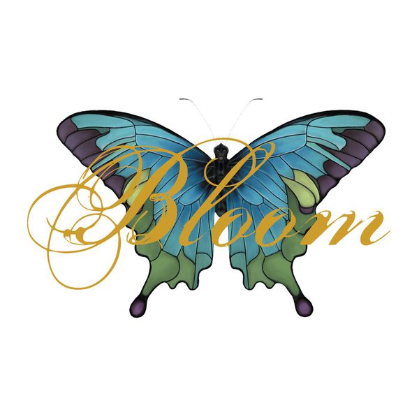 [Image: bgpy343v5fqz.jpg]