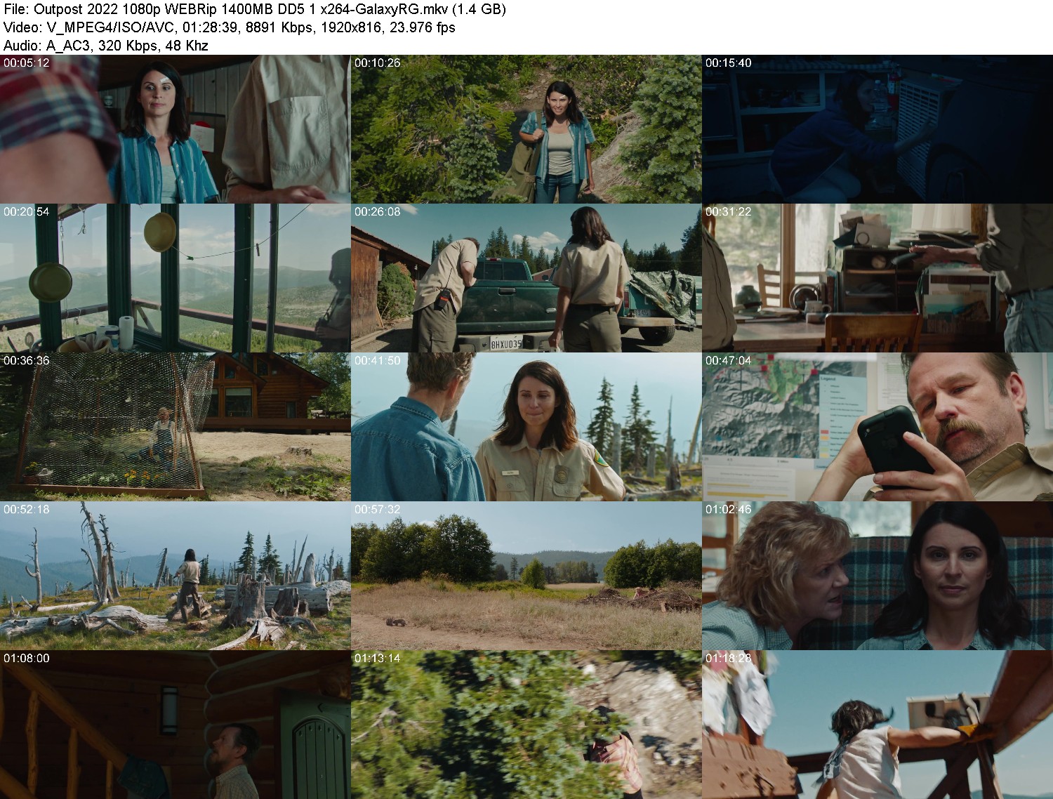 [Image: a09ng9zywpw0.jpg]