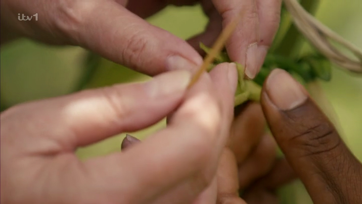 [Image: t8usy80rre2z.png]