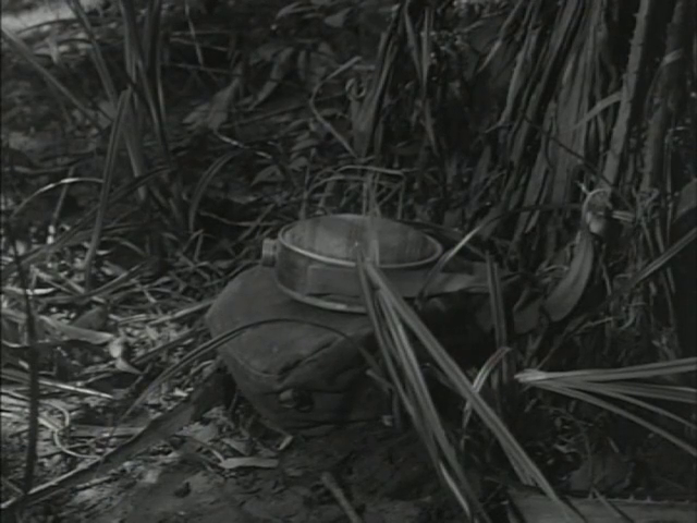 [Image: nju7dx5s92yo.png]