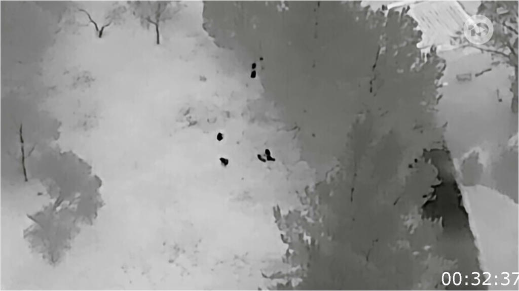 [Image: a34g0yjim5ew.png]