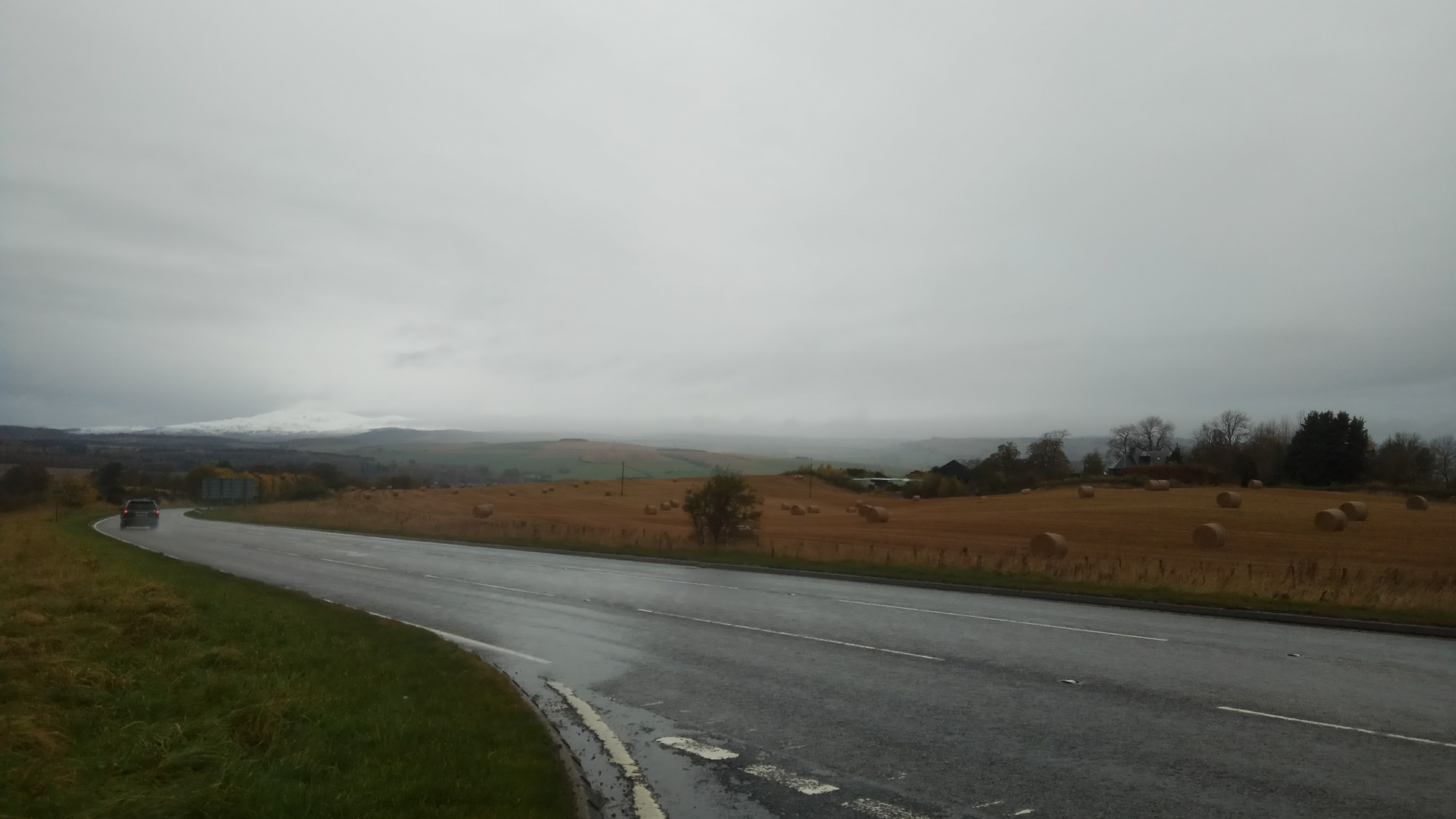 IMG-20171113-140336.jpg