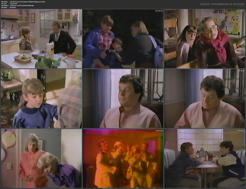 The New Leave It to Beaver S02E03 Puppy Love.mkv