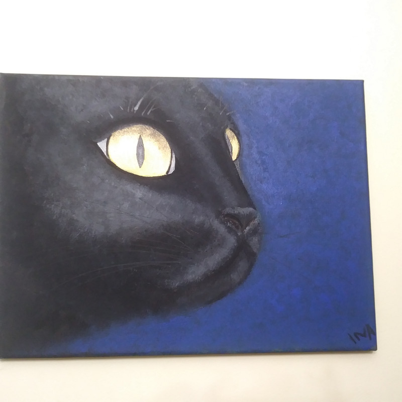 IMG_20230122_225652_795