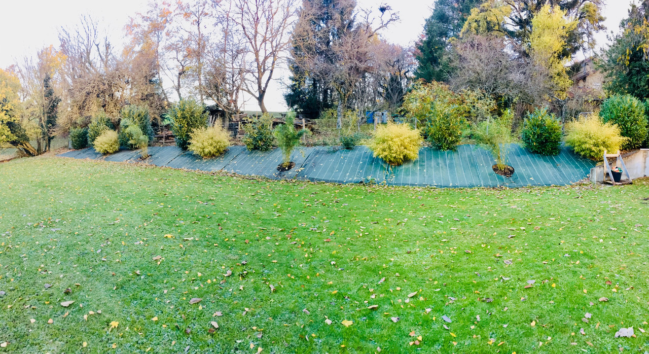 A1ACD86F-F7B1-40DE-9D2A-DE942EB3EC34