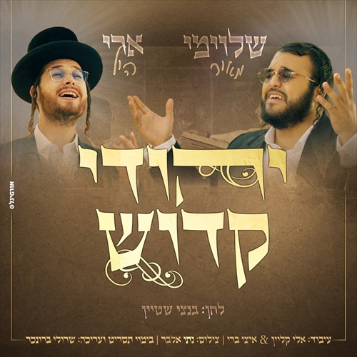 תמונה