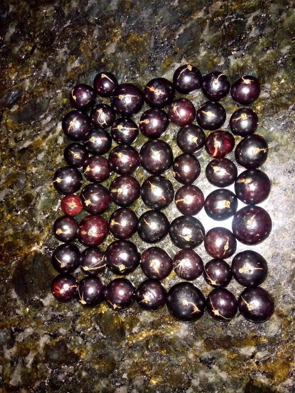 WhatsApp Image 2020-12-20 at 00.10.49 (56)