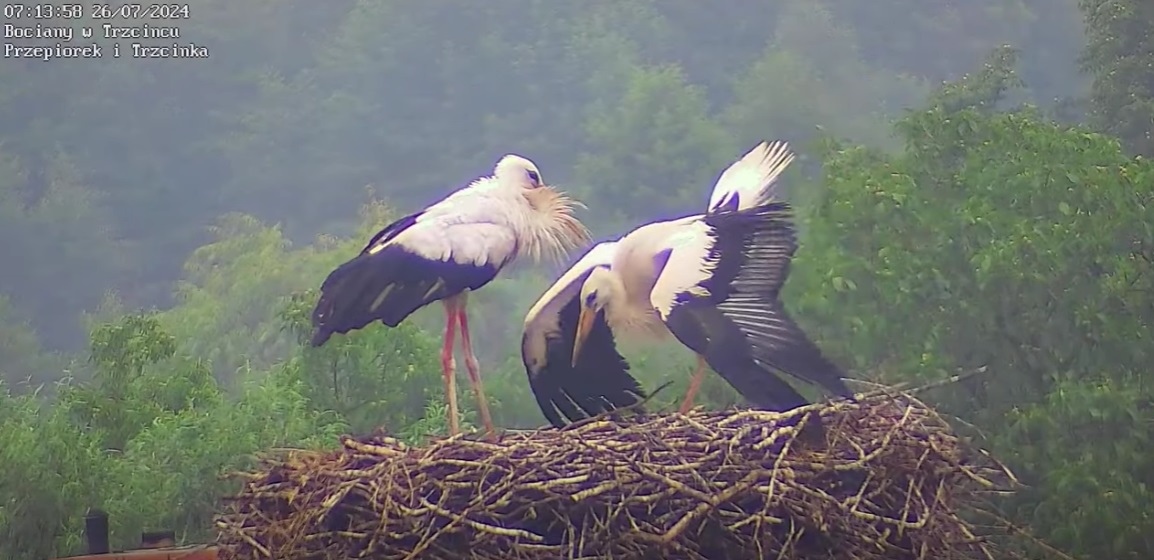 milociewidziecdzieciaku