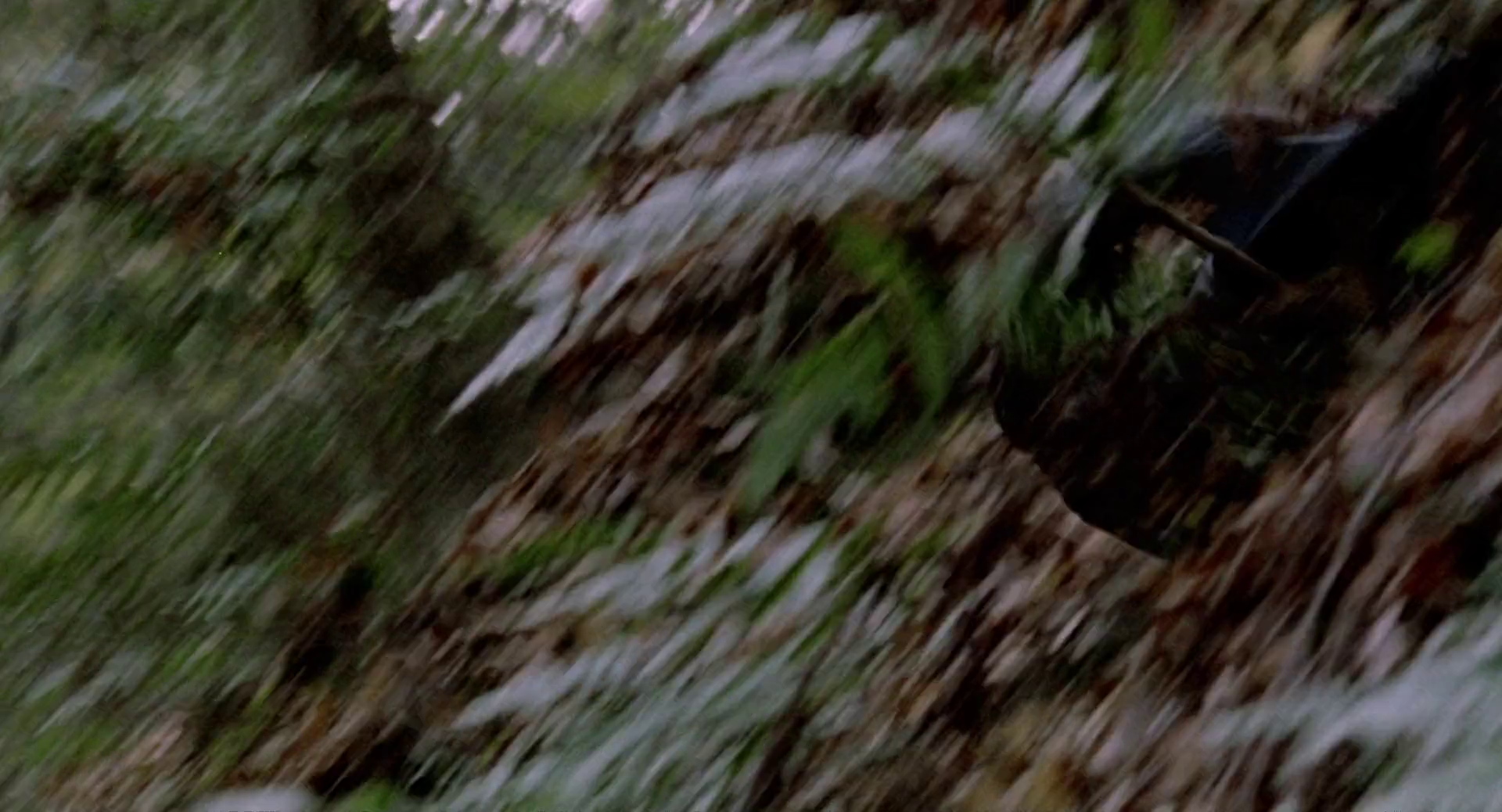 x60mw2x6yp.png