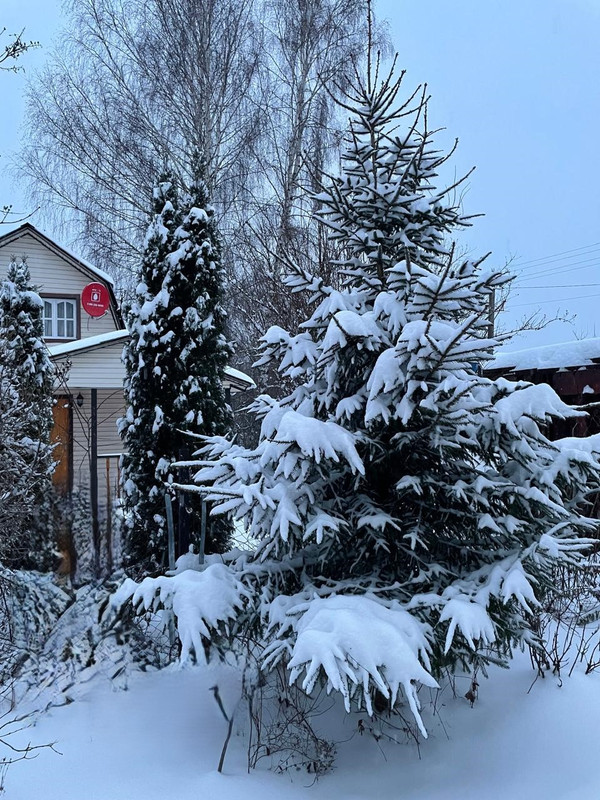 Изображение WhatsApp 2024-12-08 в 16.05.16_44f8cc4f1