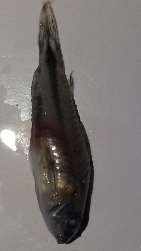 Screenshot_20180722-110757