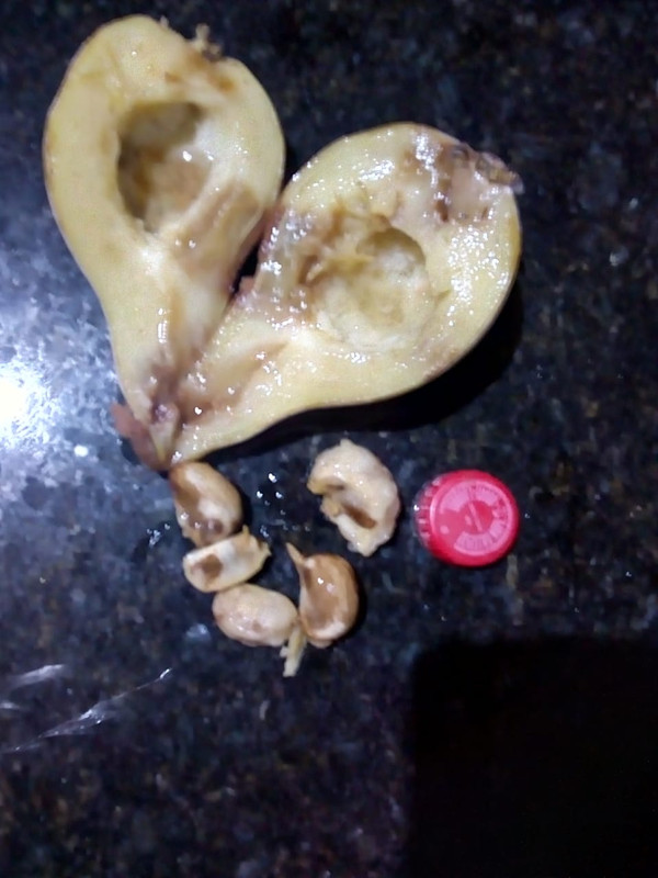 WhatsApp Image 2020-12-20 at 01.12.32 (9)