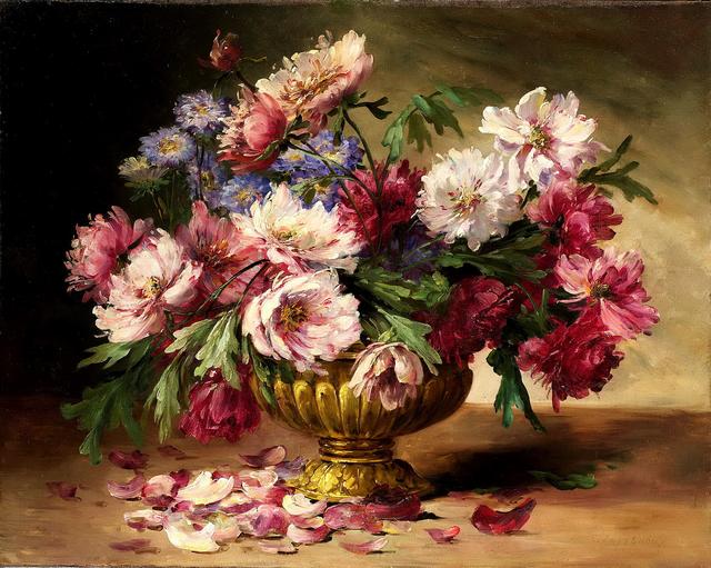 0-e5ad5-7d1c6650-XXXL