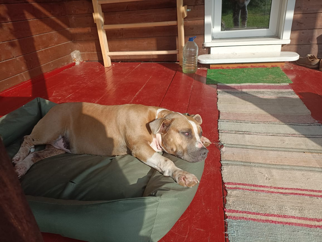 5593CDCE-00E5-4E8F-B049-D326772633F4