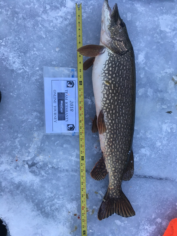 3AB6FBB1-DAD5-4B1B-A727-8BFE44FF4E83