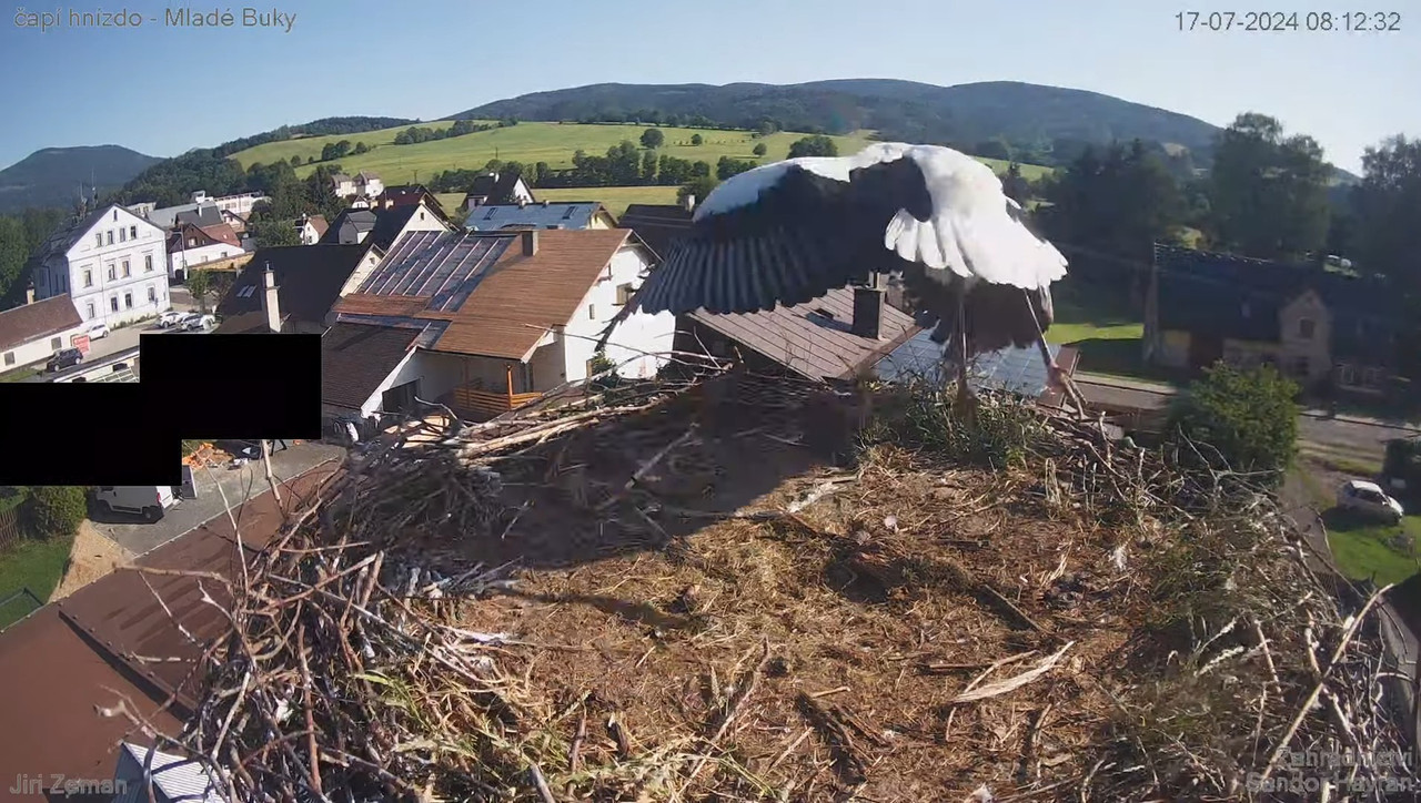Tiešraides kamera — Mladé Buky — stārķa ligzda 10-44-22 screenshot