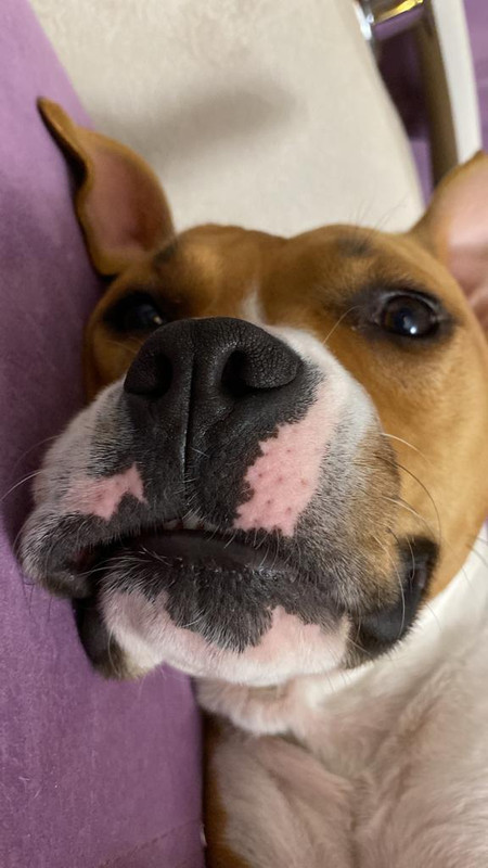 924FF4CB-A814-4132-B8F4-6760E39548FE