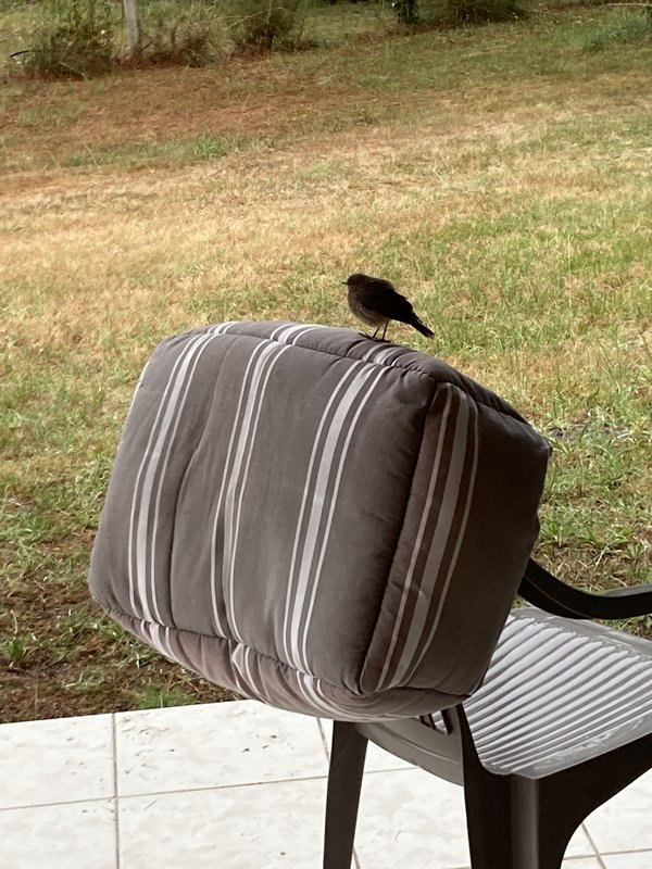 [Image: IMG-2524.jpg]