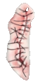 /Guro /Guro
