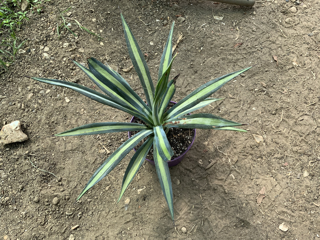 557EFF23-3322-4DA0-853B-12FD31137E4C