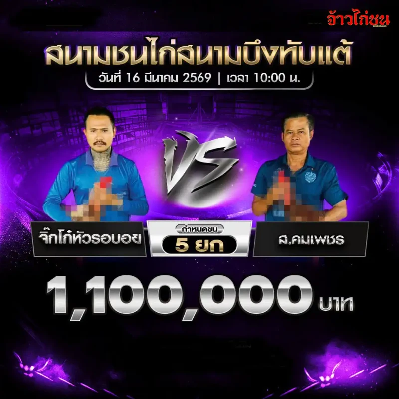 โปรแกรมไก่ชน คู่ที่ 1 จิ๊กโก๋หัวรอบอย พบ ส.คมเพชร สนามชนไก่บึงทับแต้