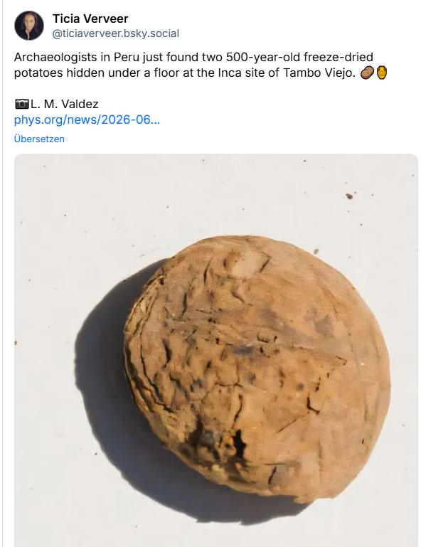 Gefriergetrocknete Kartoffel der Inkas