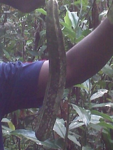 1503997_483371015100526_396783345_n