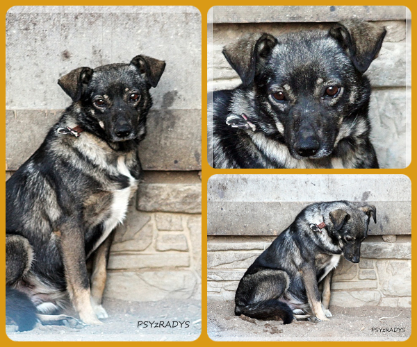 BeFunky-collage (26)