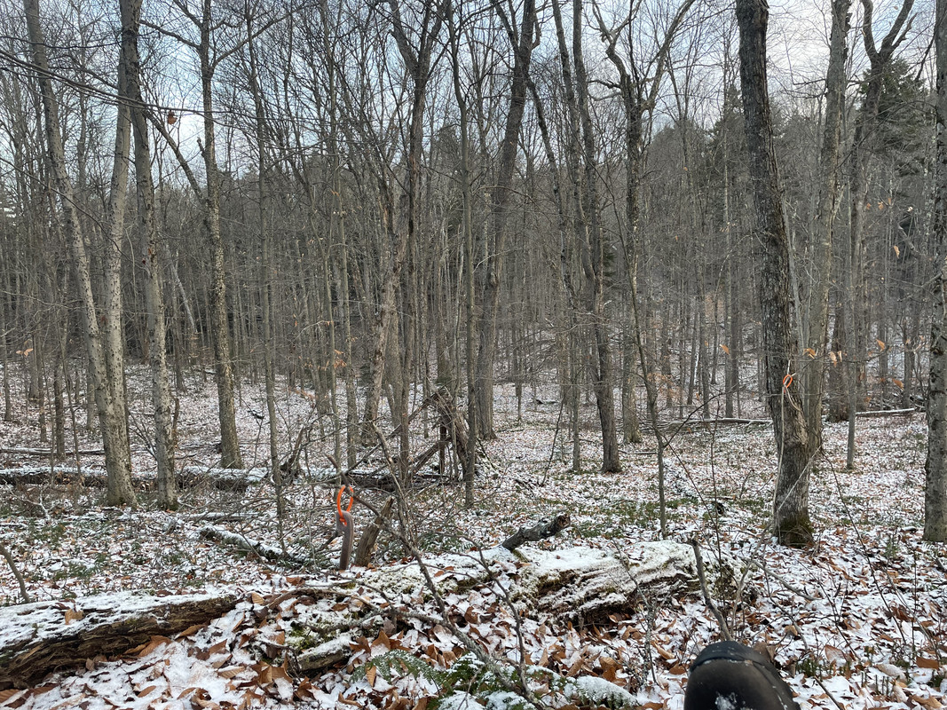 8DB87F47-E840-4679-A092-257BE43D4A76