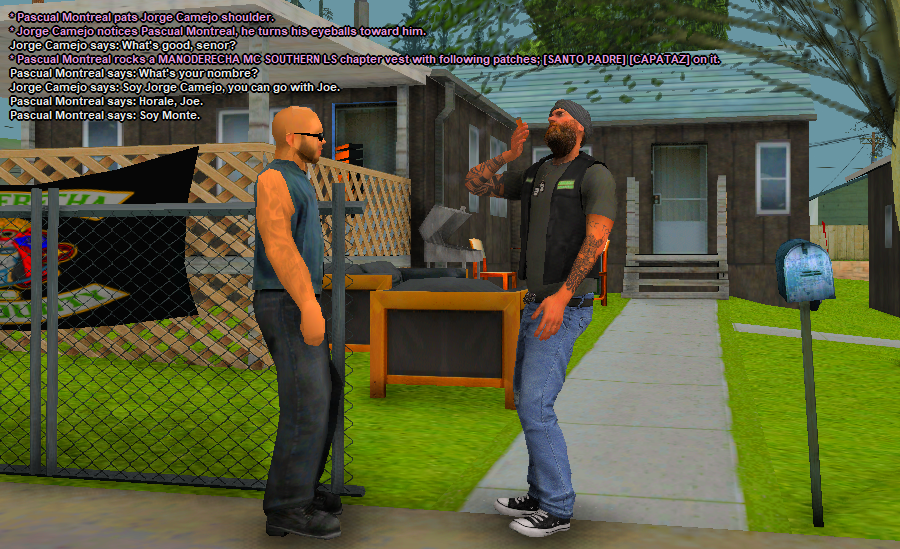 MC313.png