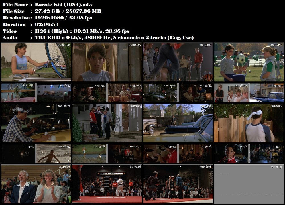 Re: Karate Kid The / Karate Kid (1984)