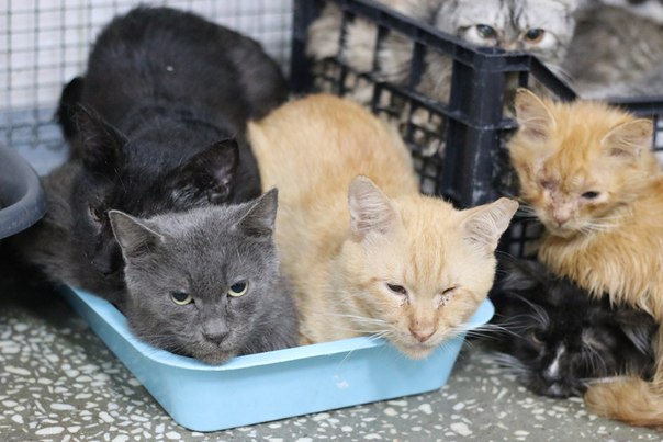 FD835EC1-22A9-43B2-AB51-B6E2F264E504