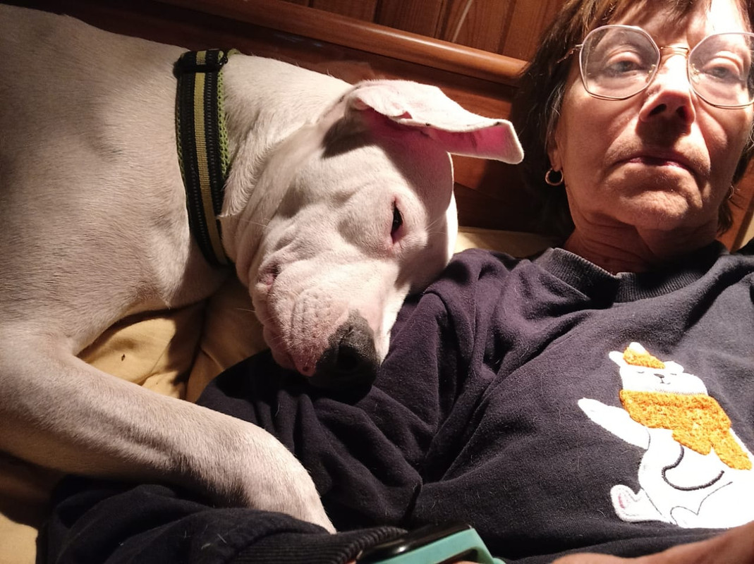 F6A060D1-F37B-4925-B910-D289E471231C