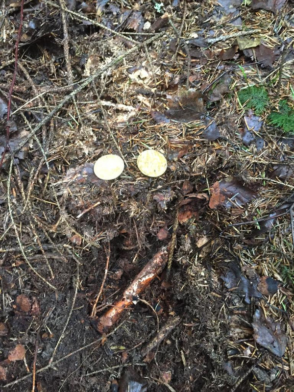 1AD3460E-11E0-4CD0-9355-CBB37948ABDD