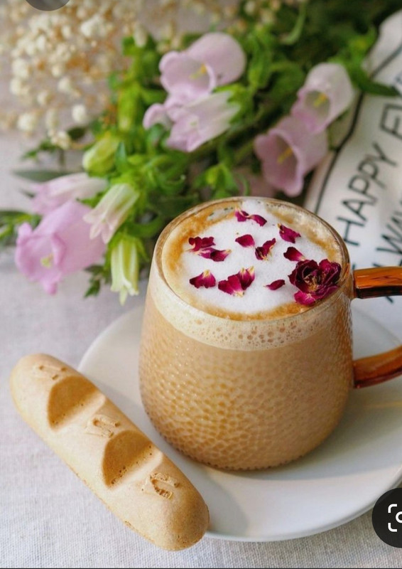 Screenshot_20230315_232514_Pinterest