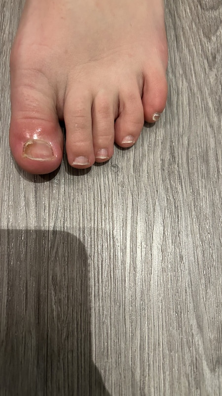 8A632334-65E9-40BC-9425-91ED250FC138