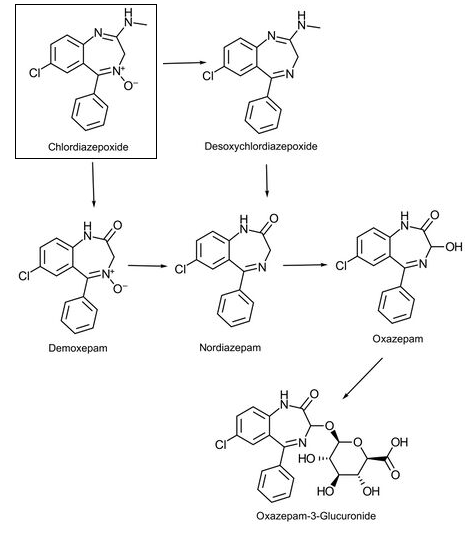 [Obrazek: image.png]