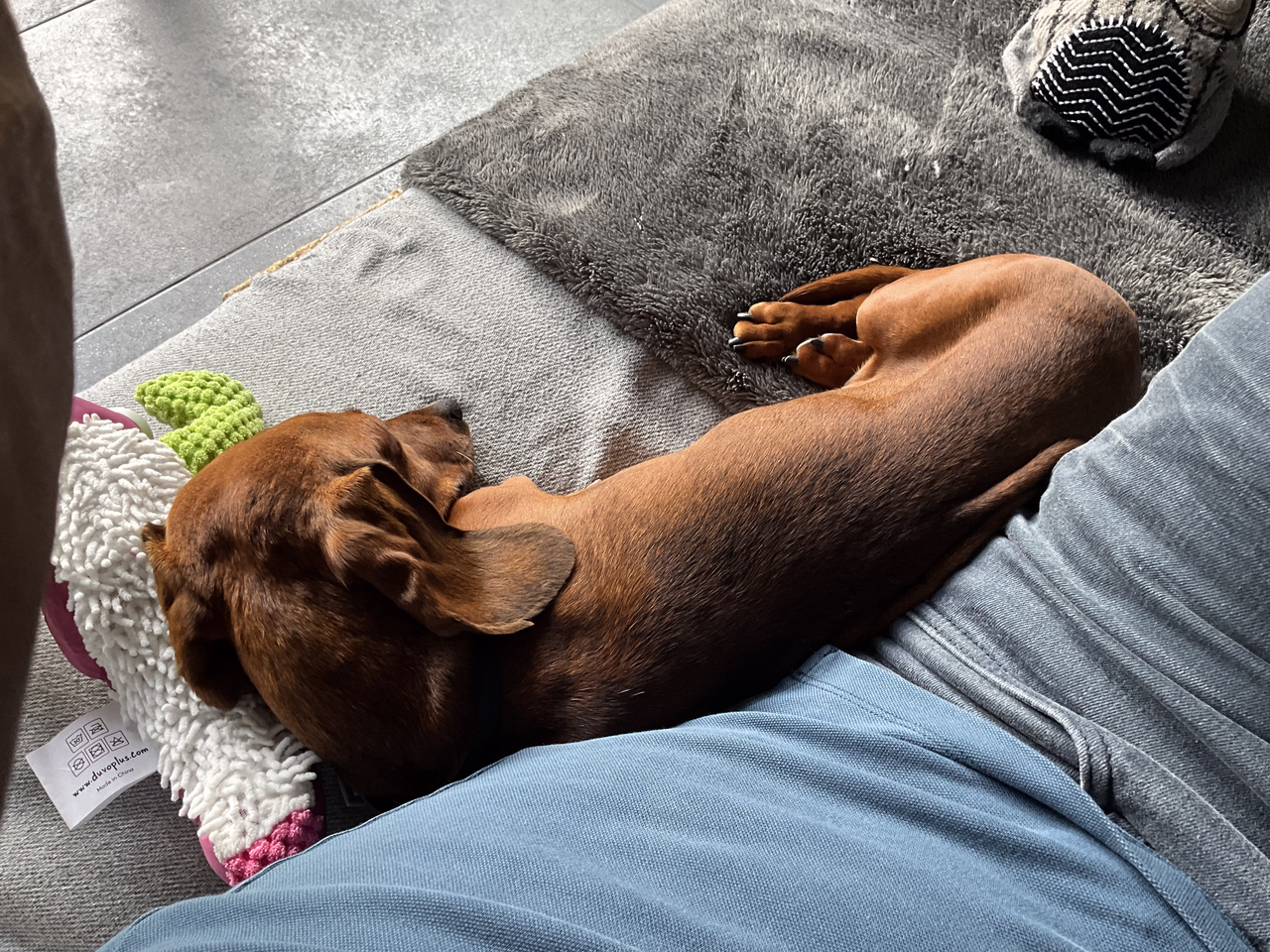 [Image: IMG-20251120-194946.avif]