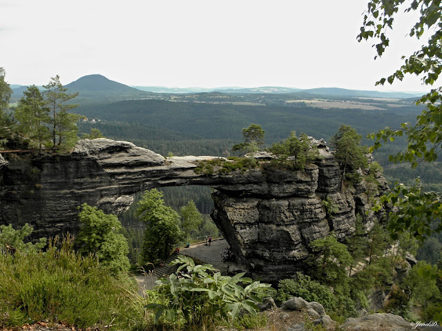 P7269980