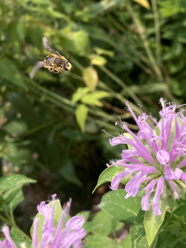 A1697095-7BCD-480D-96DD-94D64A09B001