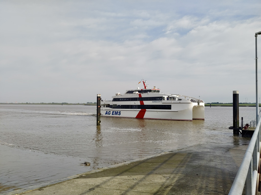 DED3A78E-BDA5-41B2-9E74-2ECC391A6C31_1_201_a