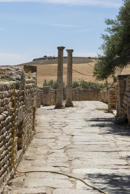 Una semana en Túnez por libre - Blogs de Tunez - Yacimiento romano de Dougga (17)