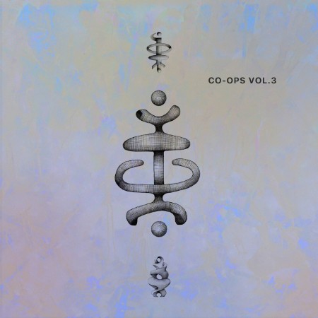 VA - CO-OPS VOL 3 (2025)