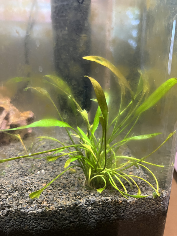 2694D232-0B37-4ED9-B267-8D918D297BC2