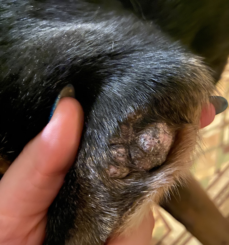 A7E598FE-0F2A-470E-969F-74F2CA939405