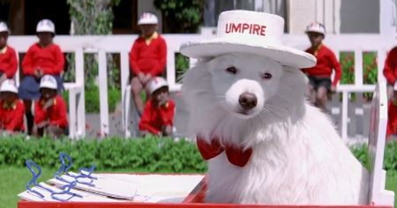 Tuff the most important character in Hum Aapke Hai Koun