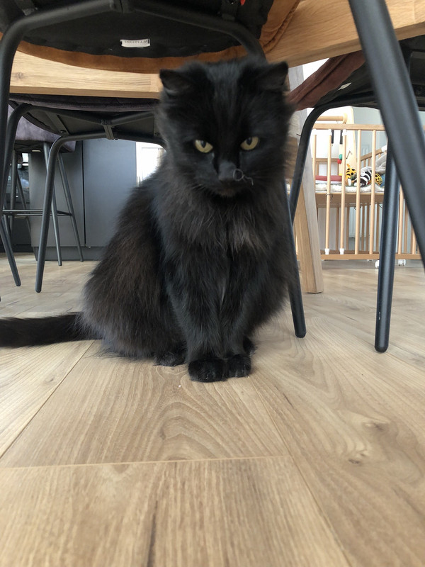 69652727339__9BC9CD0C-943C-4215-9C06-14D72C343A2C