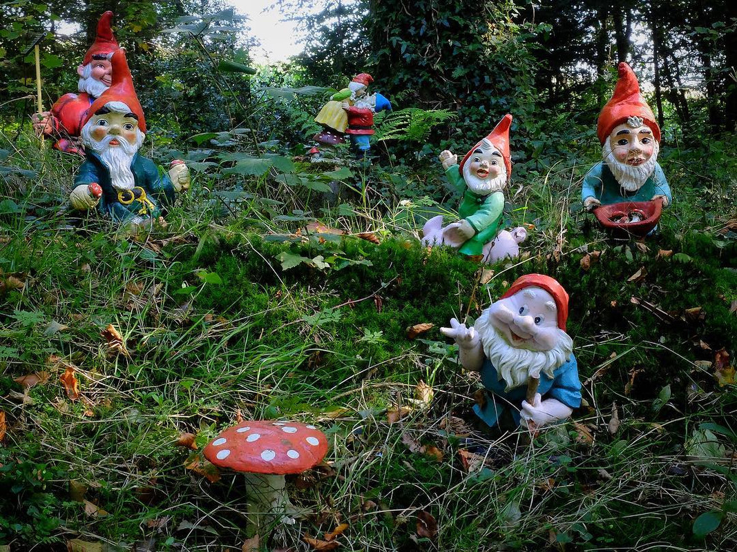 The Gnome Reserve di Devon, Inggris, memiliki lebih dari 1.000 patung kurcaci.